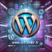 WordPress Cift Baslik Kontrolu Kodu 01