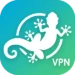 GeckoVPN APK 01
