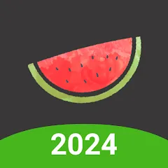Melon VPN APK 01